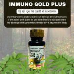 Immuno Gold Plus Ayurvedic Capsules for Allergy & Immunity
