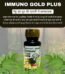 Immuno Gold Plus Ayurvedic Capsules for Allergy & Immunity