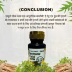 Immuno Gold Plus (60 Capsule) - Image 5