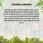 Savaran parsan Drops (5ml) - Image 4