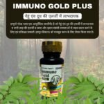 Immuno Gold Plus (60 Capsule)